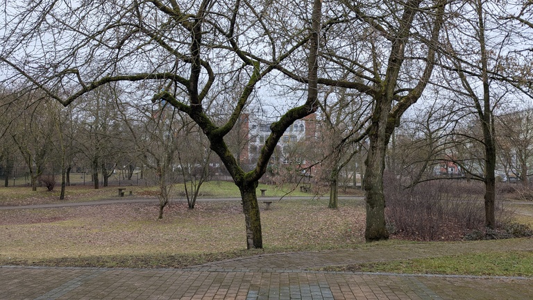 Grünanlage mit Blick auf die Hundertwasserschule in der Lutherstadt Wittenberg