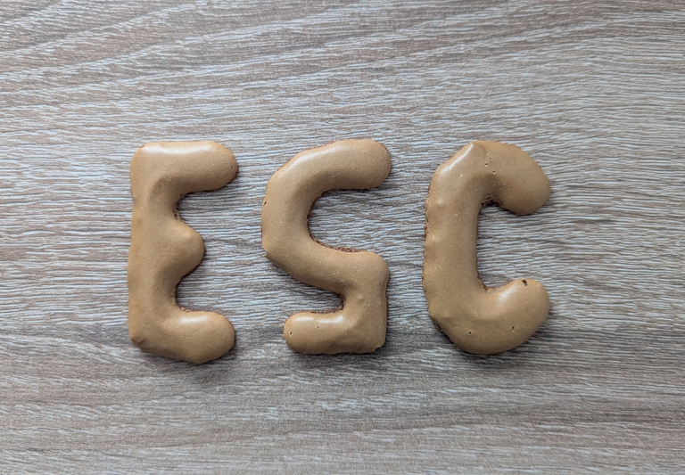 Der Schriftzug „ESC“, gelegt aus Russisch Brot auf einer Holzoberfläche, wobei das „S“ durch eine umgedrehte Zahl 5 ersetzt wurde.