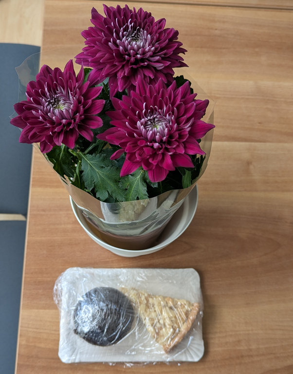 Perfekter Tausch: KI-Wissen gegen schöne Blumen und leckeren Kuchen