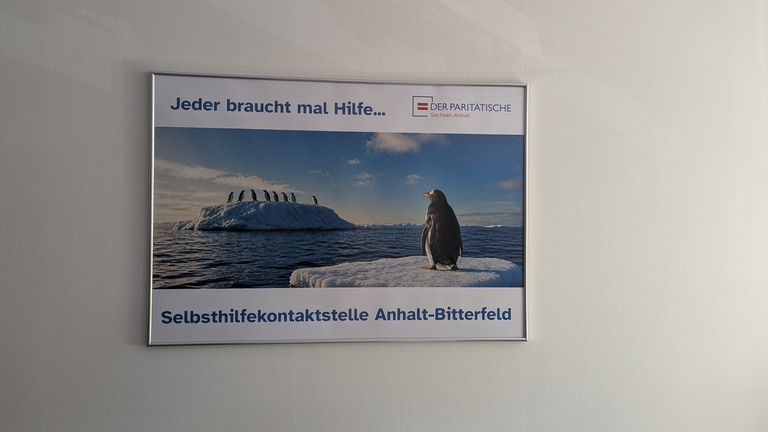 Wandbild der Paritätischen Selbsthilfekontaktstelle Anhalt-Bitterfeld mit dem Spruch „Jeder braucht mal Hilfe …“. Zu sehen ist ein einzelner Pinguin auf einer Eisscholle, der zu einer Gruppe Pinguinen hinüberschaut, die auf einem Eisberg stehen.