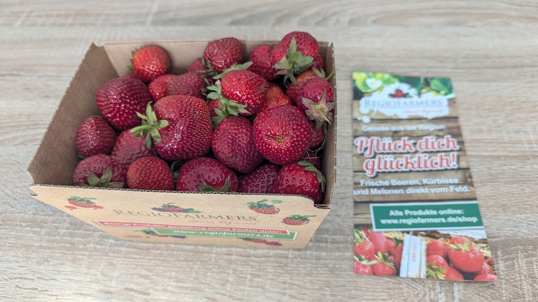 Frische Erdbeeren in einem Pappkarton von RegioFarmers. Rechts daneben liegt ein RegioFarmers-Faltblatt.