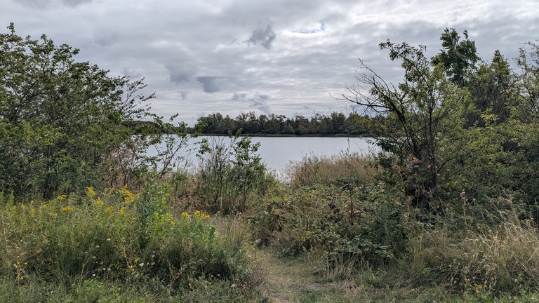 Hufeisensee in Halle (Saale).