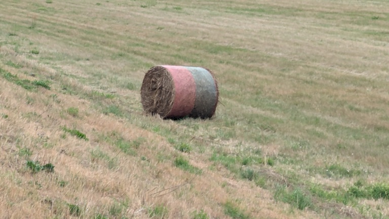 Ein Strohballen liegt auf einem Feld.